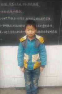 杨铁军