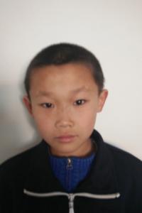 王子豪