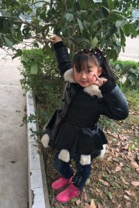刘凌茹