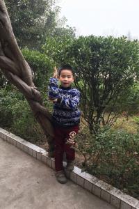 罗森源