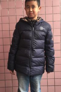 鄢辰