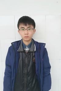 向俣辰