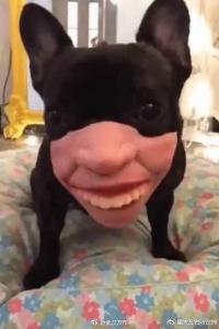 万子漪