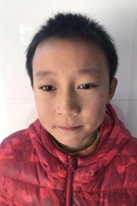陈鑫豪