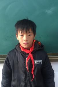 赵贺