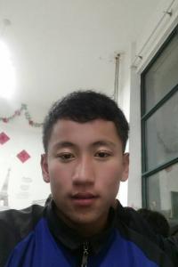 王龙