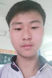 向凌龙
