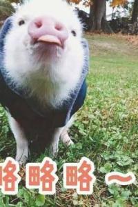 李玖红