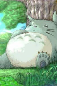 朱松