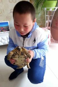 慕展乐