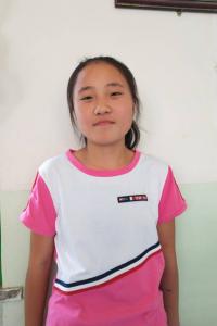 摆红丽