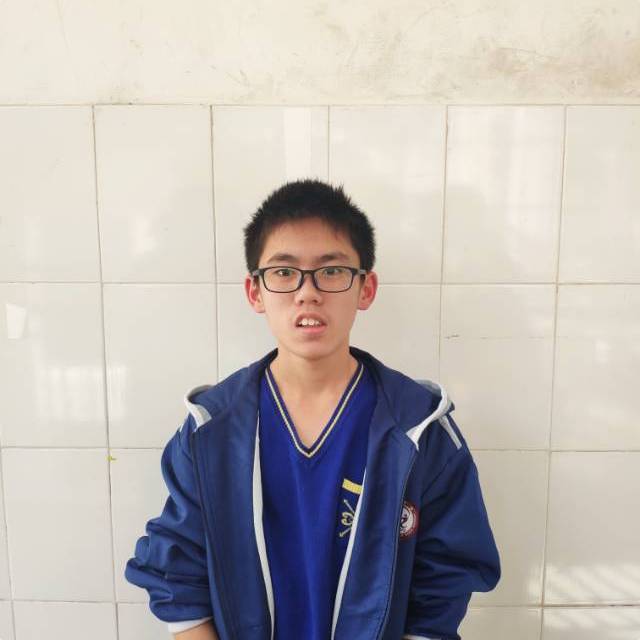 张力文