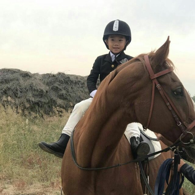 申谨瑞