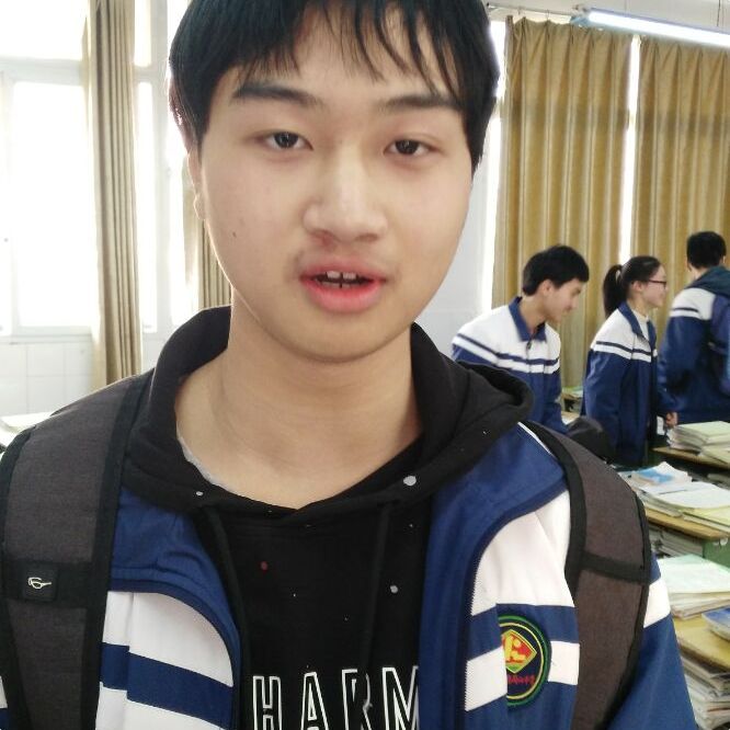 柏科