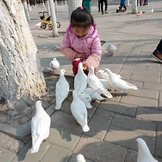 刘泓晓