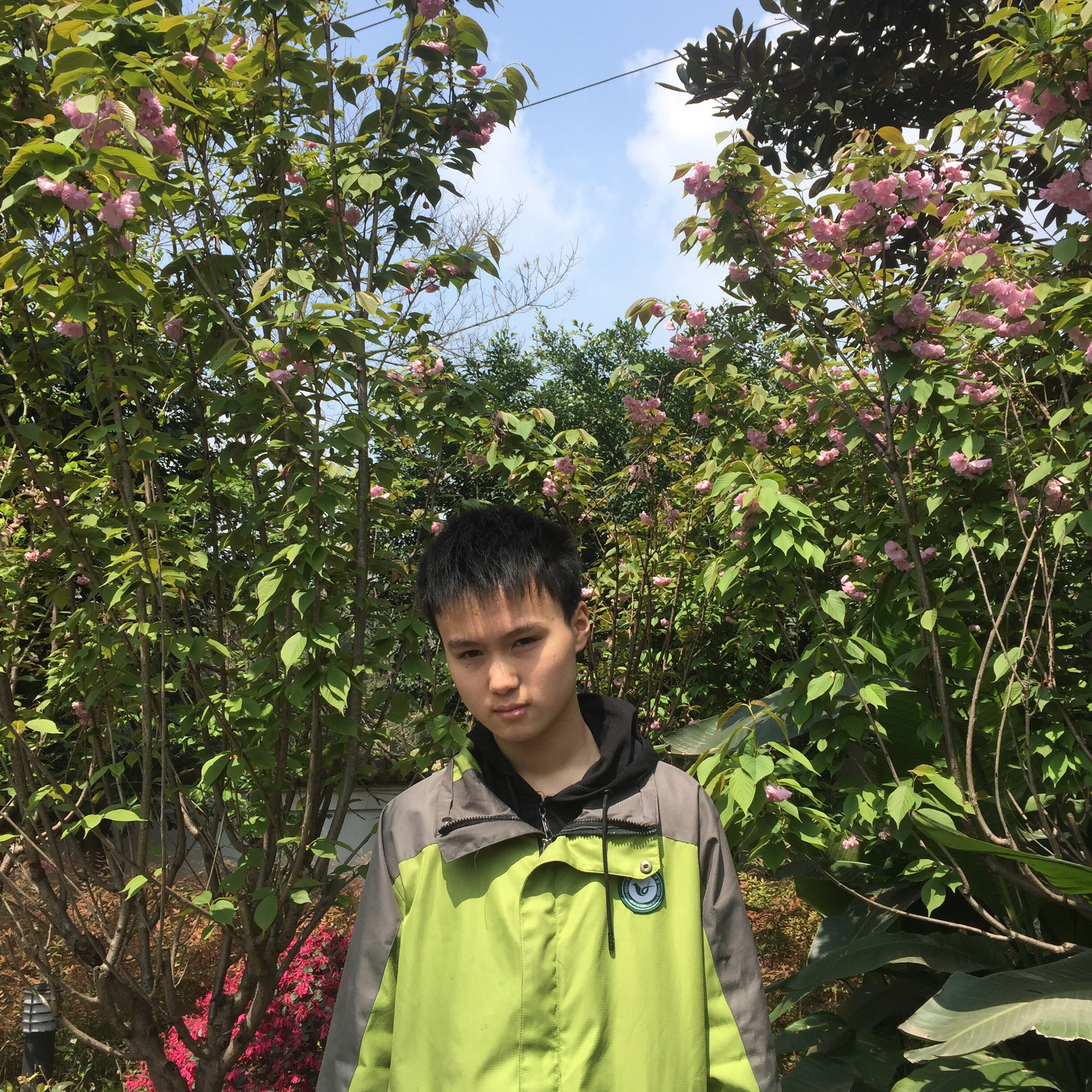 谭超文