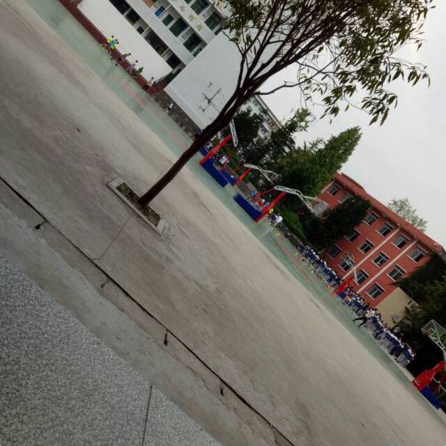 王召瑞