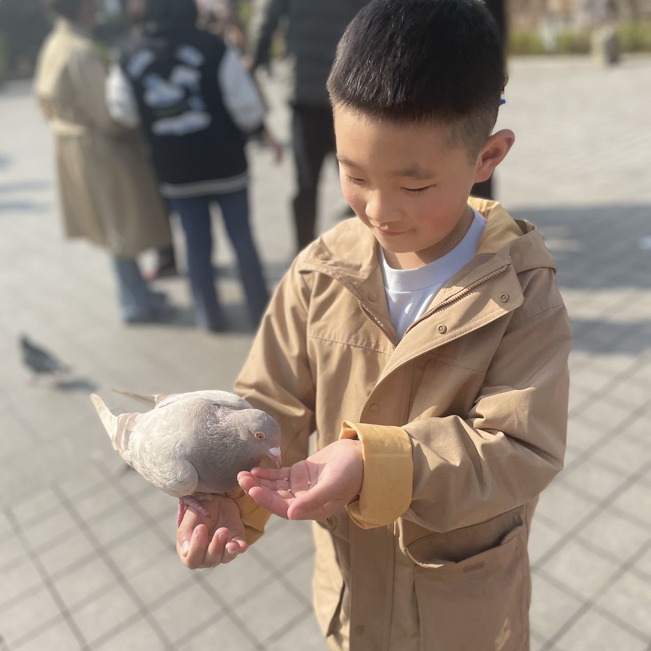 丁敬懿